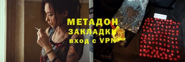 индика Алзамай