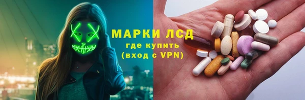 индика Алзамай