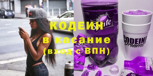 индика Алзамай