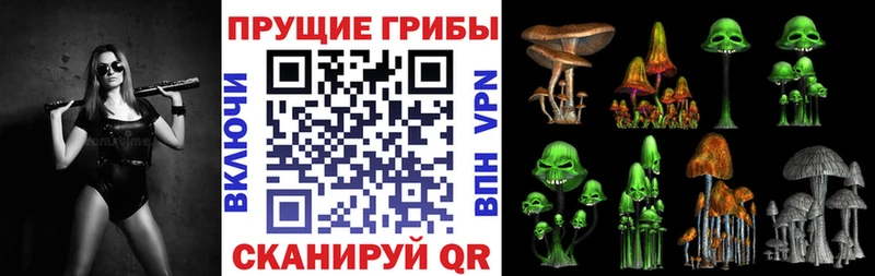 Псилоцибиновые грибы мухоморы Киселёвск