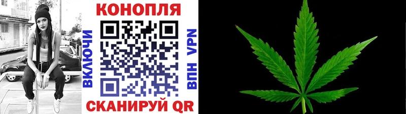 купить наркоту  Киселёвск  Канабис OG Kush 
